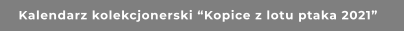Kalendarz kolekcjonerski “Kopice z lotu ptaka 2021”