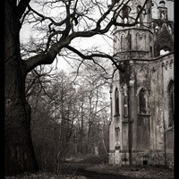 grabież