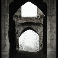 view_of_the_past